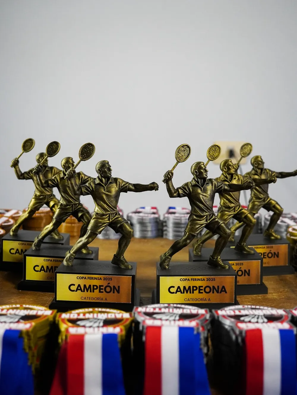Badminton Trophy 羽毛球奖杯, photo 4 of 4 - Badminton Trophy 羽毛球奖杯 Education