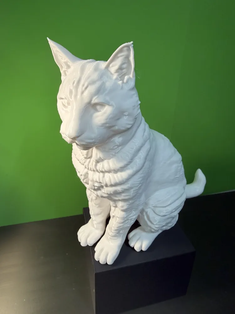 Cat sitting, photo 2 of 5 - Cat sitting Art