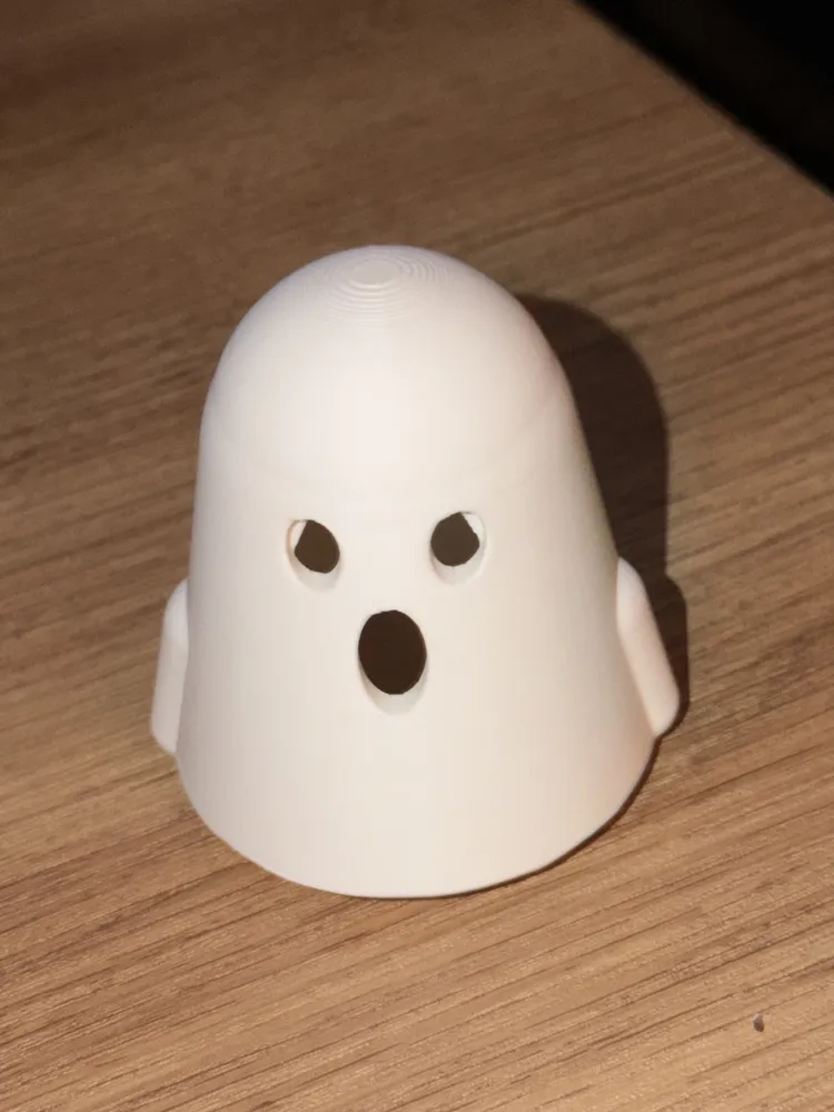 Ghost, photo 2 of 2 - Ghost Household