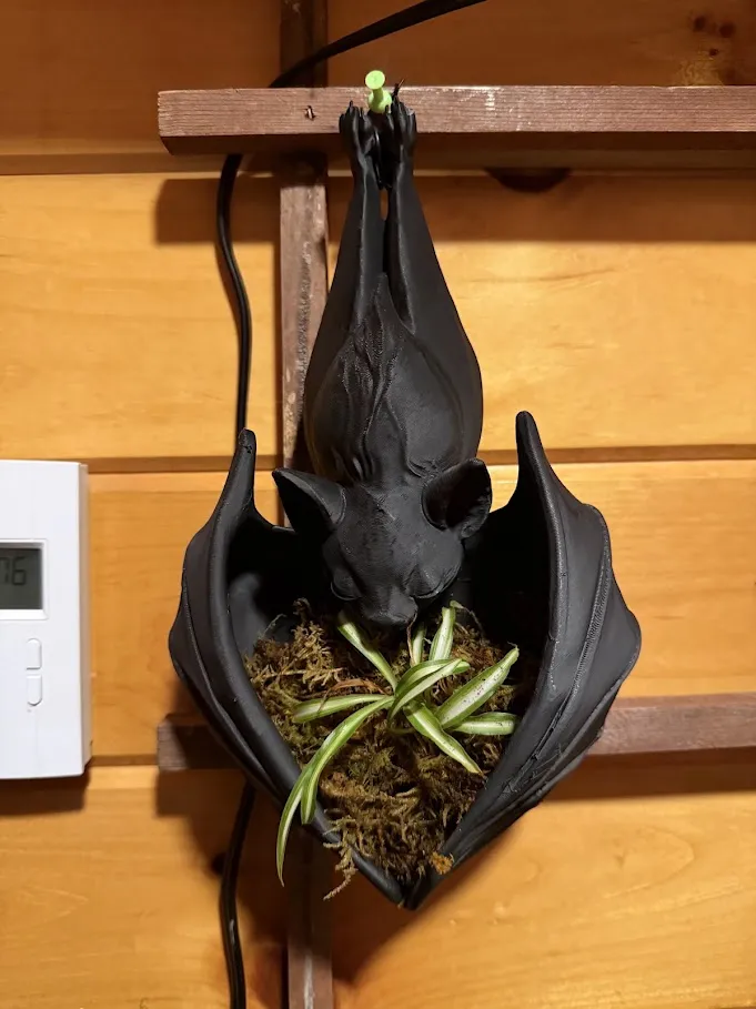 hangingbat, photo 3 of 3 - hangingbat Art