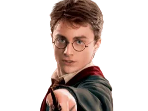 Harry Potter flexi fidget