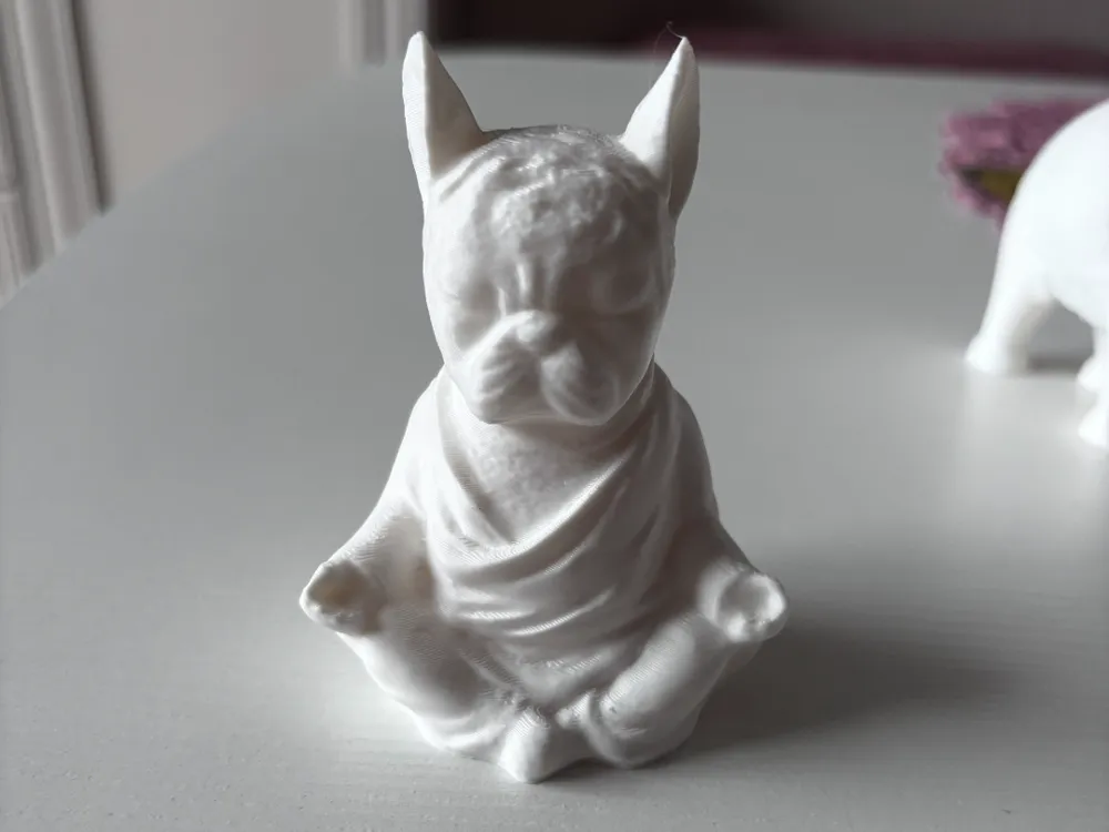 Meditating dog