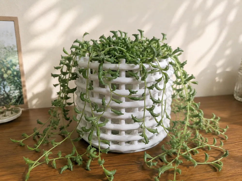 modern woven basket, photo 2 of 5 - modern woven basket Household