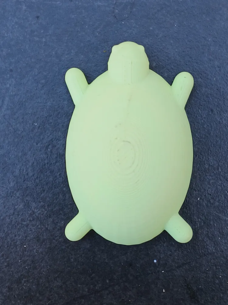 Pool Turtle, photo 2 of 3 - Pool Turtle Miniatures