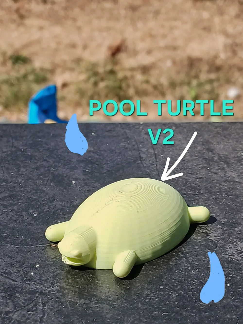 Pool Turtle, photo 3 of 3 - Pool Turtle Miniatures