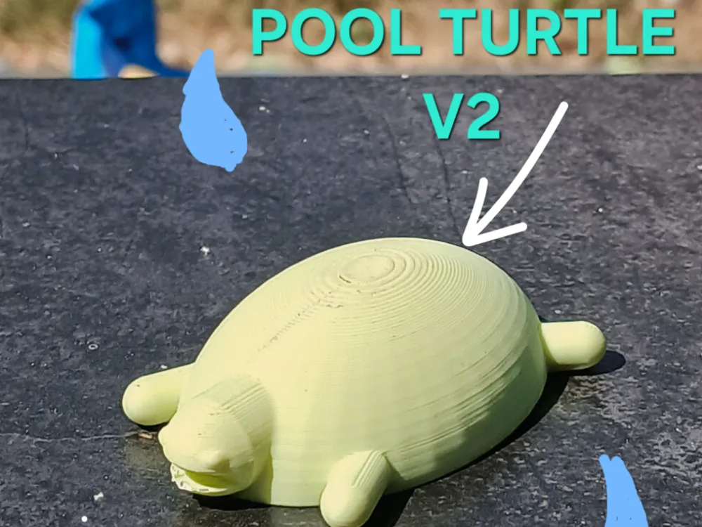 Pool Turtle - 3D printed Animals, in stock in India