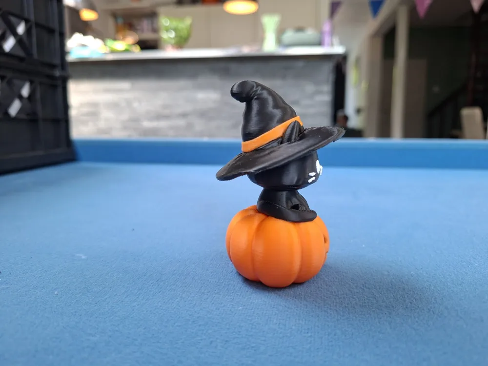 Pumpkin Paws, The Little Witch Cat, photo 2 of 4 - Pumpkin Paws, The Little Witch Cat Household