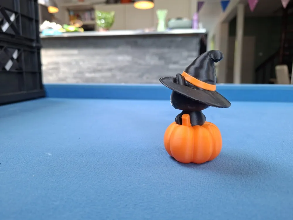 Pumpkin Paws, The Little Witch Cat, photo 3 of 4 - Pumpkin Paws, The Little Witch Cat Household