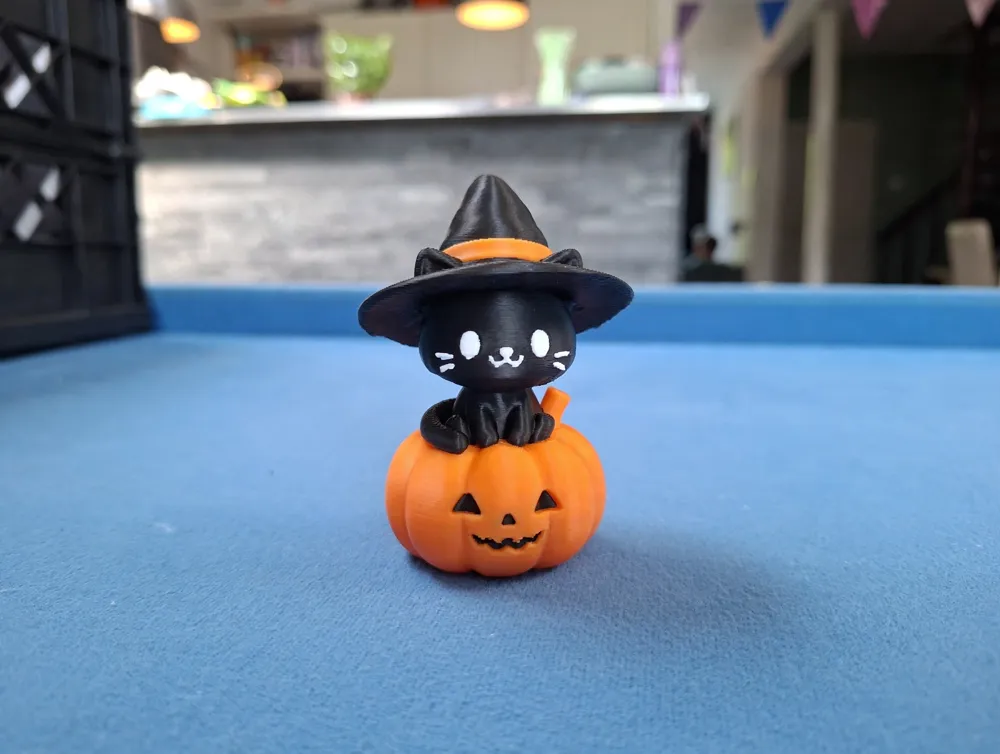 Pumpkin Paws, The Little Witch Cat, photo 4 of 4 - Pumpkin Paws, The Little Witch Cat Household