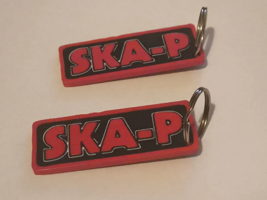 Llavero Ska-P - 3D printed Image to Keychain, in stock in India