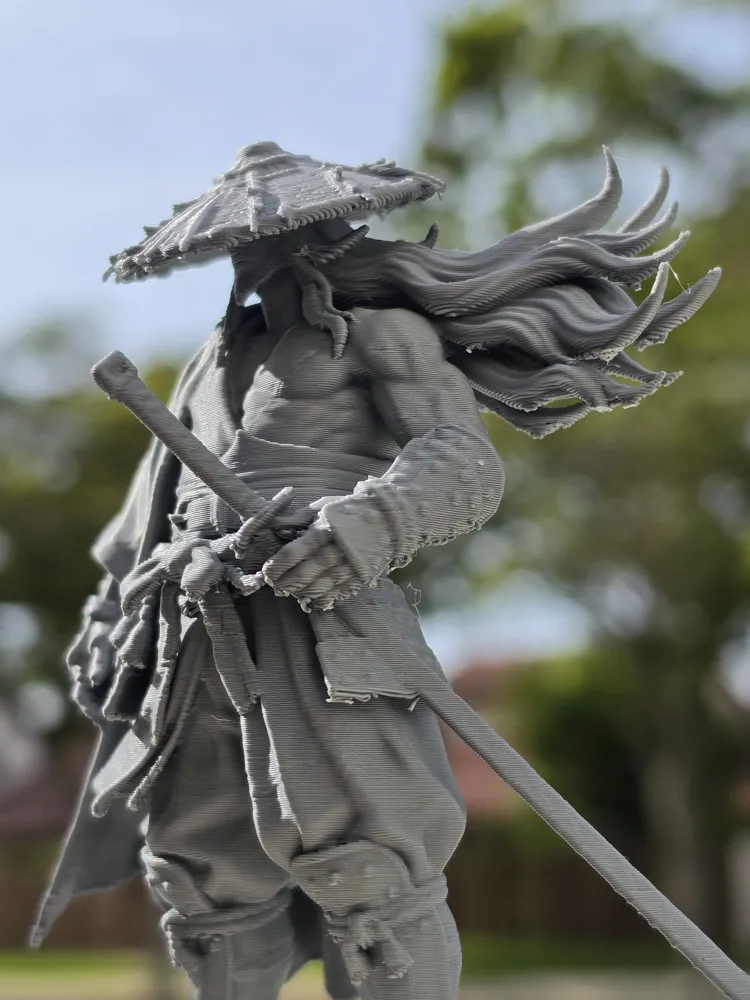 Storm Ronin, photo 2 of 5 - Storm Ronin Art