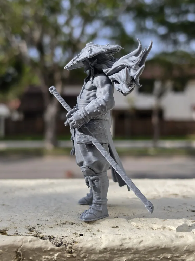Storm Ronin, photo 4 of 5 - Storm Ronin Art