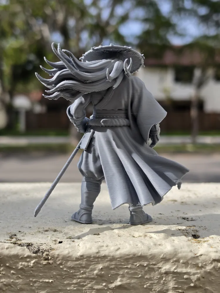 Storm Ronin, photo 5 of 5 - Storm Ronin Art