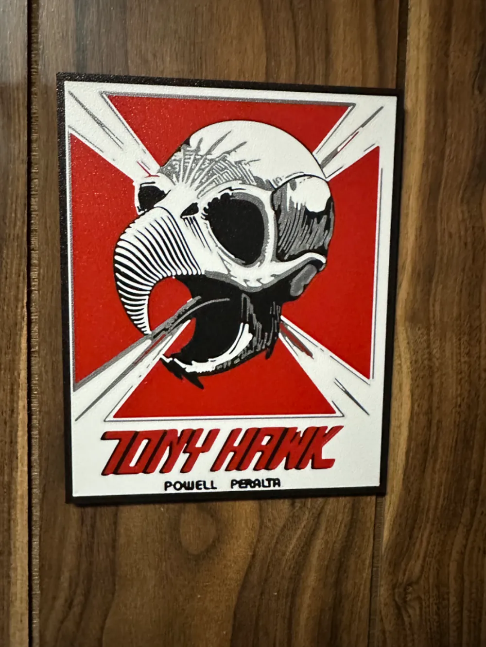 tony hawk/ powell peralta lightbox/ wall art
