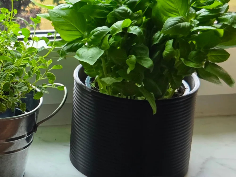 Wave Herb Pot - Solid - 3D printed Other House Models, in stock in India