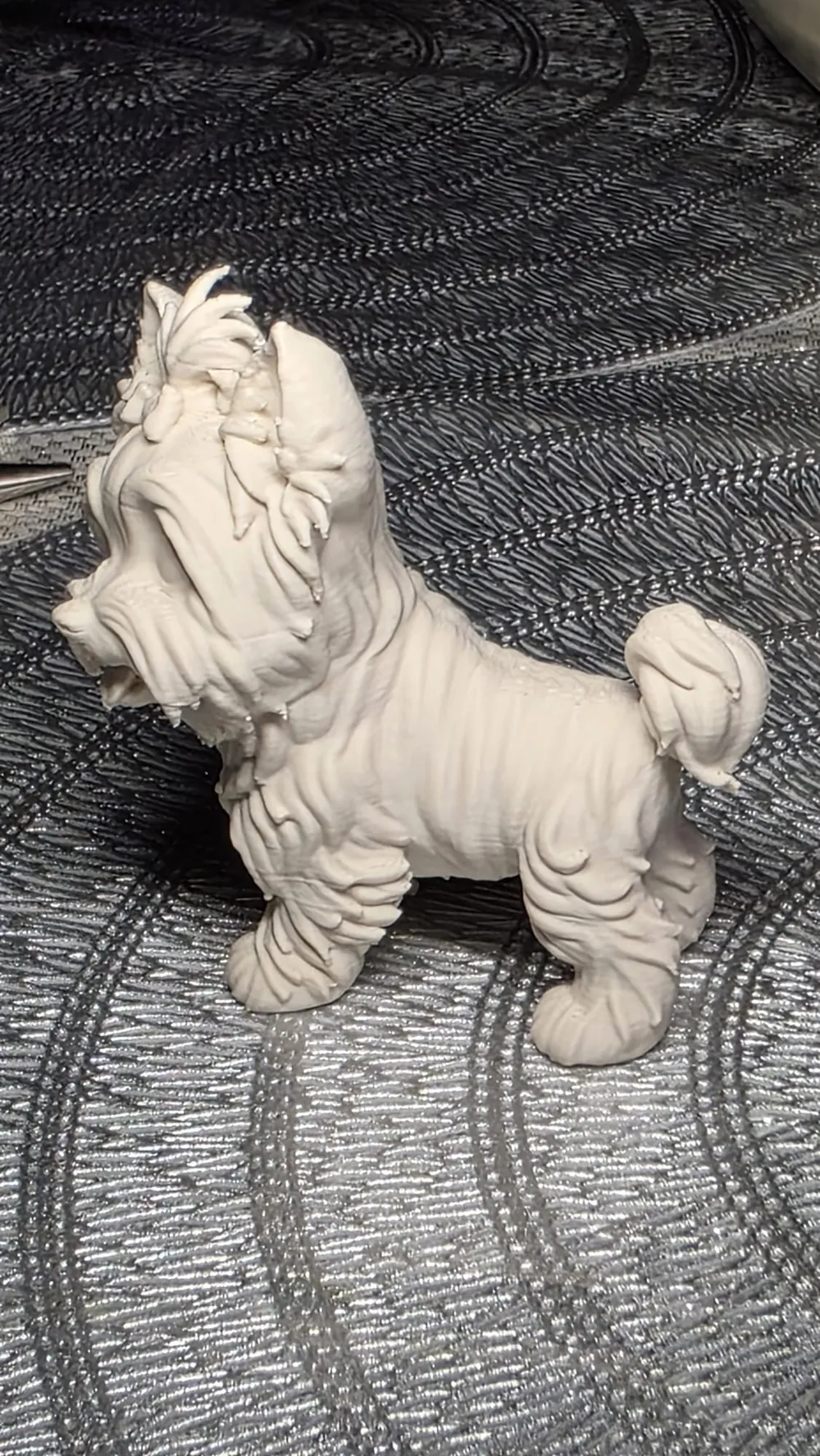 Yorkshire Terrier, photo 3 of 3 - Yorkshire Terrier Miniatures